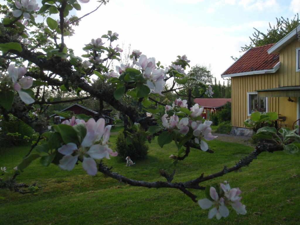 Stf Lugnasberget Ekohotell Mariestad Exterior foto